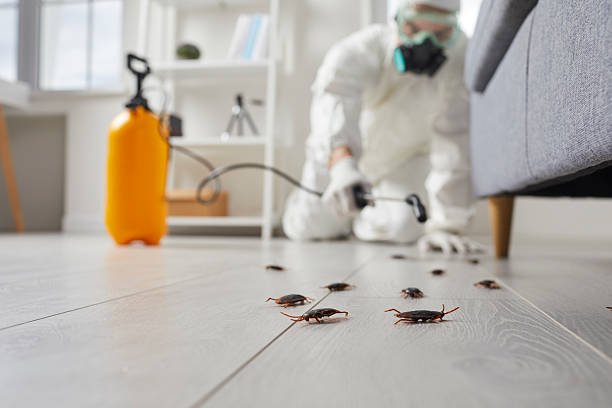 Trusted Fumigation Services service in Mammoth Lakes, CA - Nex Pest Control