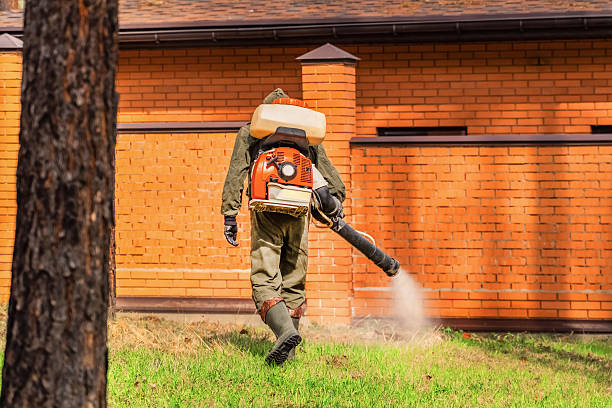 Trusted Termite Control service in Mammoth Lakes, CA - Nex Pest Control